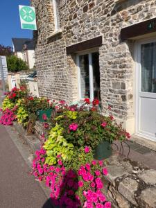a bunch of flowers in front of a building at Sauge et Romarin in Portbail