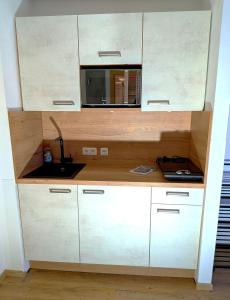 Nhà bếp/bếp nhỏ tại Apartment Rehblick Hohenwarth - Die grüne Ruhe Oase