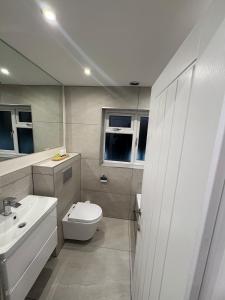 a bathroom with a toilet and a sink at Santíago Retreat in Wenvoe +13 photos