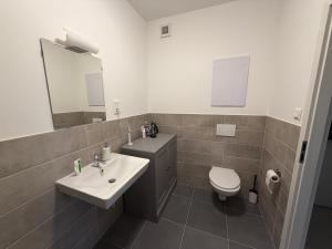 a bathroom with a sink and a toilet at Oáza Living Mohelnice in Mohelnice +2 photos
