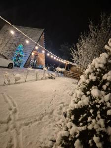 een sneeuwbedekte tuin met een huis met een kerstboom bij A frame Sima in Breb