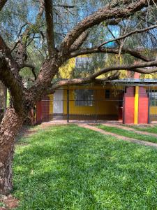 a yellow and red building with a tree in the foreground at Eucalipto Dúplex in San Vicente