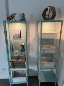 a glass book shelf with books and other items at Moderne Unterkunft mit Wellnessflair in Bodelshausen