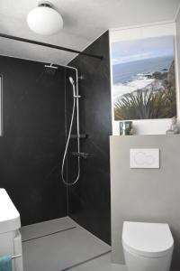 a bathroom with a shower and a toilet at Moderne Unterkunft mit Wellnessflair in Bodelshausen +16 photos