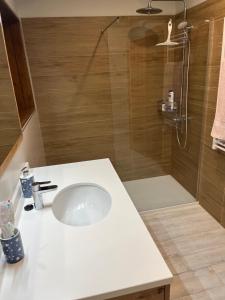 a bathroom with a white sink and a shower at Villa Elorrio in Elorrio