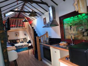 a kitchen with a sink and a stove in a room at Zanders cave in Edwinstowe +9 photos