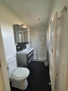 a bathroom with a toilet and a sink and a shower at Ferienhaus Breskens in Breskens +19 photos