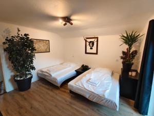 een kamer met twee bedden en planten erin bij Das Bergnest Maishofen in Mitterhofen