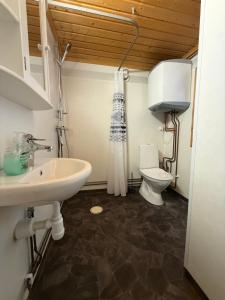 een badkamer met een wastafel en een toilet bij Kolbackens Camping & Stugby in Åsarna