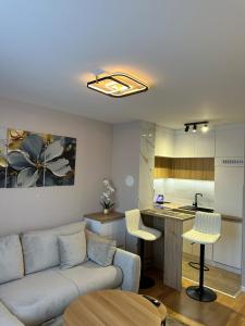 a living room with a couch and a kitchen at Sweet Home Pale in Pale +13 photos