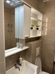 a bathroom with a sink and a mirror and a toilet at Sweet Home Pale in Pale