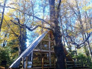a tree house in the middle of the forest at Cabañas bosque sur in Curarrehue