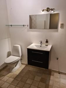 a bathroom with a toilet and a sink and a mirror at Exclusive boende Suite 2 med 4 bäddar i stort sovrum varav 2 bäddar kan stänga om sig in Frederikshavn +13 photos