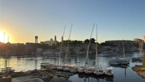 a group of sailboats are docked in a harbor at Bakar Nubian Guest House in Aswan