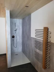 a shower stall in a bathroom with a shower at Gästehaus Bischof in Damuls