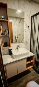 een badkamer met een witte wastafel en een spiegel bij Suncani breg in Crni Vrh