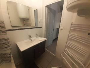 a bathroom with a sink and a mirror and a shower at Elise en plein coeur de la ville in Saint-Étienne