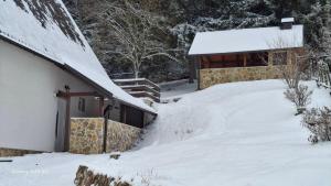 een huis bedekt met sneeuw naast een gebouw bij Vikendica Luka in Han Pijesak +29 foto's