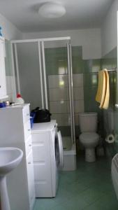 un bagno con doccia, WC e lavandino di Idylla - Cottage in Lower Silesia a Duszniki Zdrój