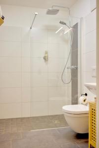 a white bathroom with a shower and a toilet at Großzügiges Studio-Apartment in Dresden