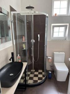 a bathroom with a shower with a black sink at Sunhouse Valbone in Valbonë