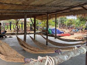 En have udenfor Blue Ocean Hostel