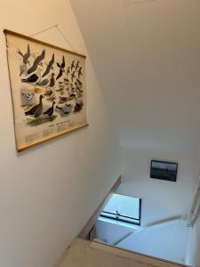 a staircase with a picture of birds on the wall at De Tuinkamer in Ouddorp