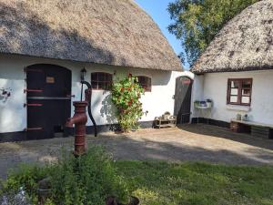 Vườn quanh Gemütliches Reetdachhaus mit Kaminofen +14 ảnh