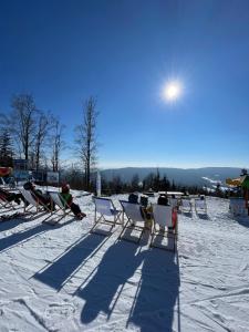 a group of lawn chairs in the snow at Apartmány Bramborka in Janov nad Nisou