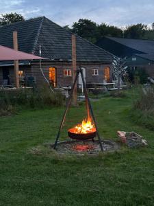 Billede fra billedgalleriet på Erve Zonnehoeve Minicamping en Wijngaard i Vorden