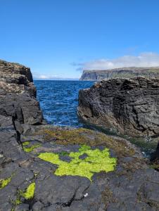 een stukje groen op de rotsen vlakbij de oceaan bij Lon Ban House B&B in Glendale