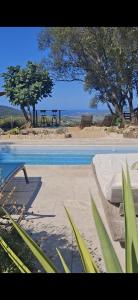 a swimming pool with a bed and trees in the background at A Casa Faggia in Sollacaro
