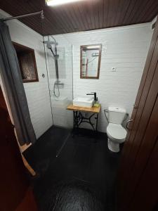 a bathroom with a shower and a toilet and a sink at Abrigo das Penhas in Manteigas