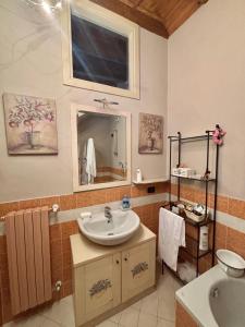 un bagno con lavandino e specchio di Antica Casa Fenaroli a Iseo Altre 25 foto