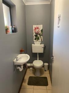 a bathroom with a white toilet and a sink at The Little Gem in Clanwilliam
