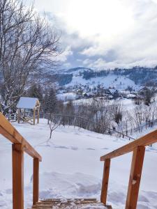 Wezly Tiny House semasa musim sejuk +24 gambar