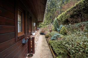 Vườn quanh Cabin Near Krkonoše National Park