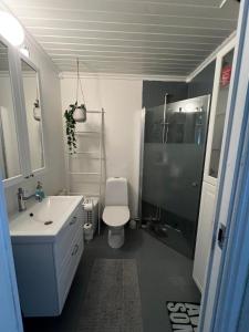 a bathroom with a toilet and a shower and a sink at Rymligt radhus in Borlänge +6 photos