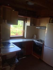 eine Küche mit einer Spüle, einem Kühlschrank und einem Fenster in der Unterkunft Guest house Pīlādzis in Čornaja
