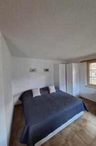 een slaapkamer met een bed met een blauwe deken bij Studio Chalet Edelweiss in Biel