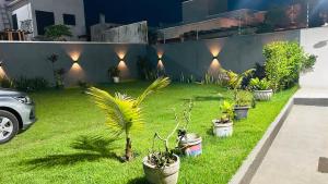 a yard with a row of potted plants on the grass at Pousada Ventos in Chapada dos Guimarães