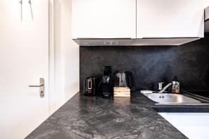 een keuken met een spoelbak en een aanrechtblad bij Lea Apartement - Ruhiges Studio in Schaffhausen