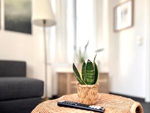 a plant sitting on a table next to a remote control at COZEE - The Oasis in Kaiserslautern