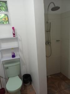 een badkamer met een wit toilet en een douche bij Cassiane apartments in Thibaud +6 foto's