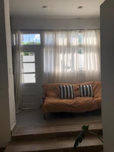 a cat is standing in a living room with a couch at Terminal Depto in Azul