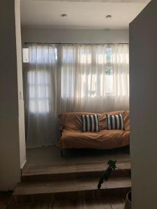 a dog standing in front of a couch in a living room at Terminal Depto in Azul +4 photos