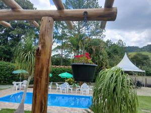 a pool with chairs and a potted plant next to it at Pousada Casa de Campo in Conservatória