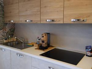 Kuhinja ili čajna kuhinja u objektu Maison Prestige