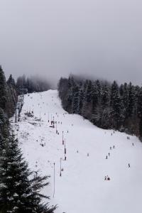 un gruppo di persone che sciano su una pista innevata di 30 Forest, Azuga ad Azuga