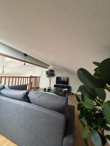 a living room with a couch and a table at Oniris - Parenthèse urbaine in Mont-de-Marsan +4 photos